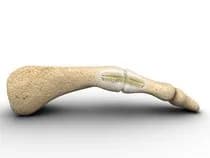 TOEGRIP